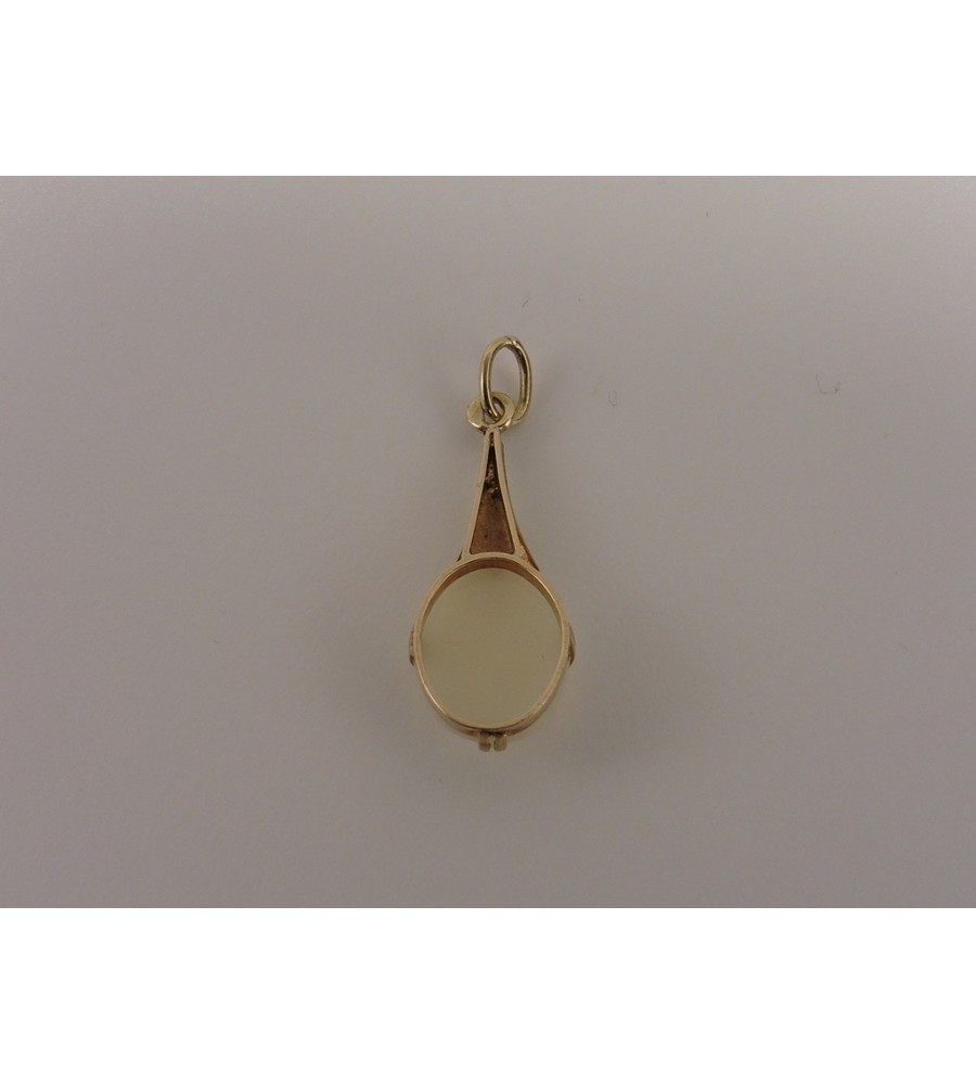 Gouden hanger met melkopaal