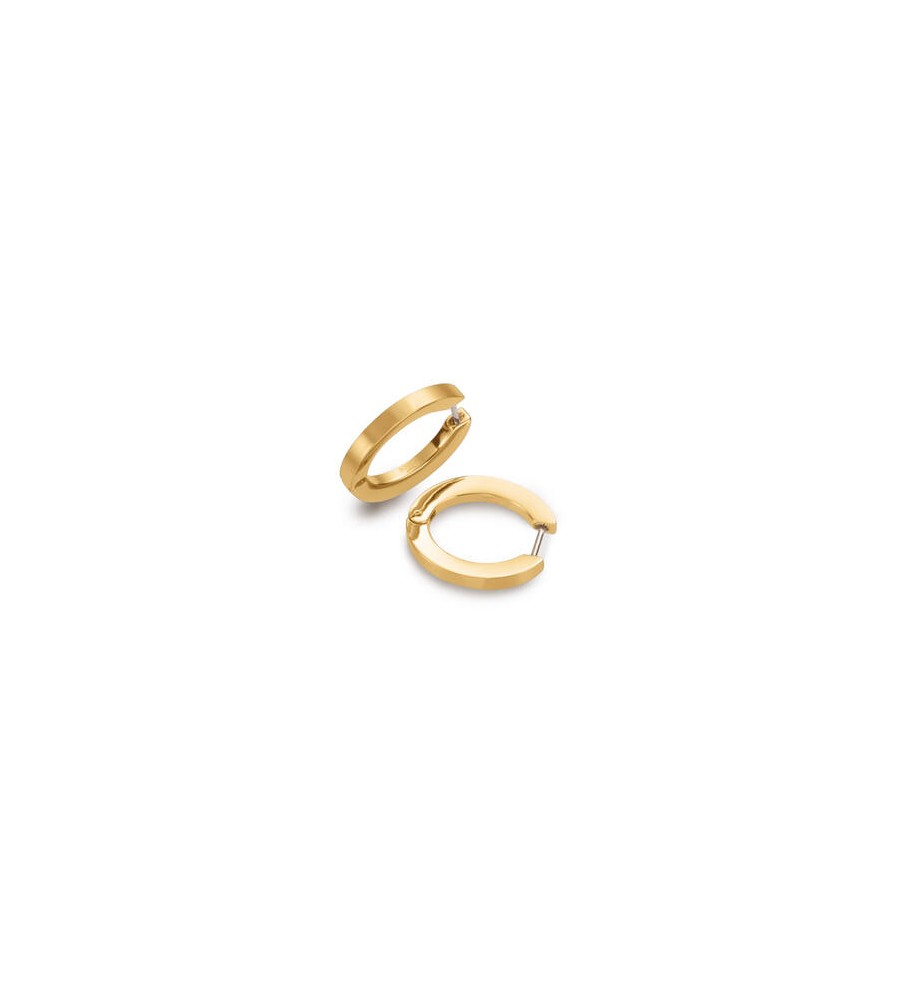 Boccia titanium creolen