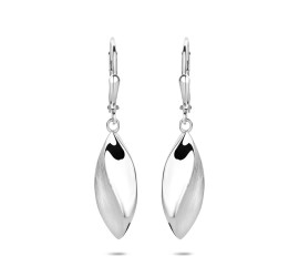 Zilveren oorhangers mat/poli   13.41869