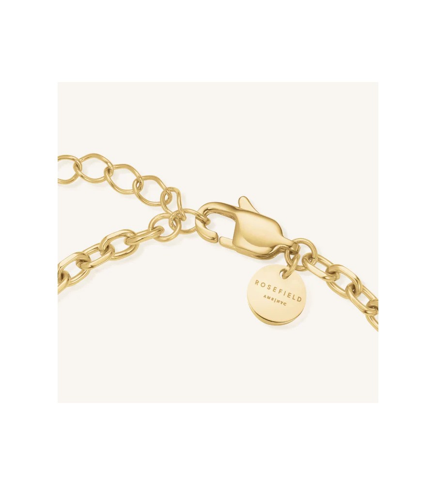 Rosefield staal vergulde collier met bedel