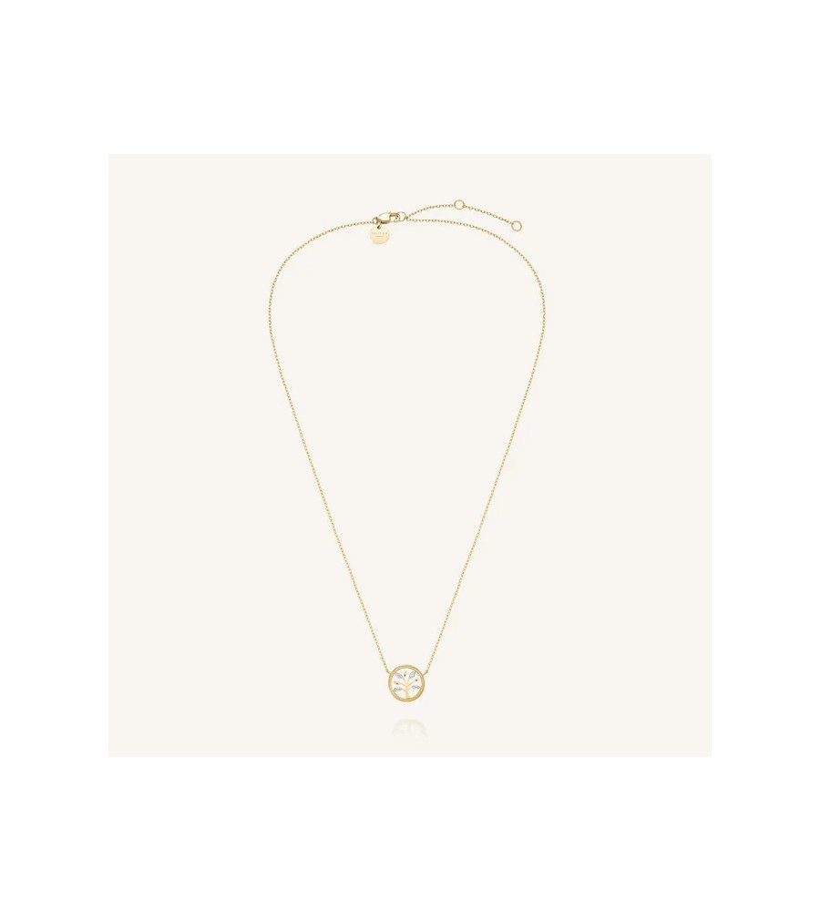 Rosefield staal vergulde collier met bedel