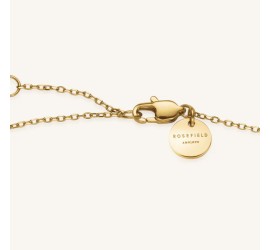 Rosefield staal verguld collier met hart hanger  Pave Heart Necklace Gold  JNPHG-J1273