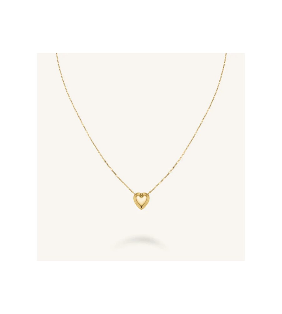 Rosefield staal verguld collier met hart hanger