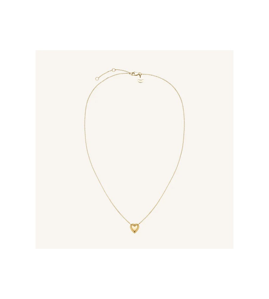 Rosefield staal verguld collier met hart hanger