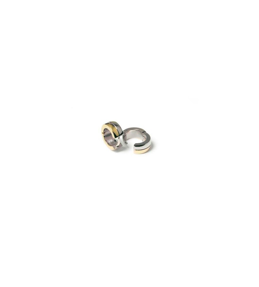 Boccia titanium creolen bicolor