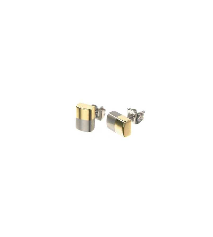 Boccia titanium oorknoppen