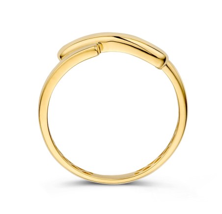 Excellent gouden damesring  RMRM108167
