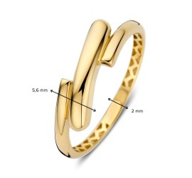Excellent gouden damesring  RMRM108167