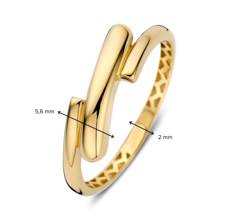 Excellent gouden damesring  RMRM108167