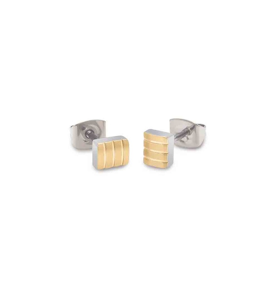 Boccia titanium oorknoppen