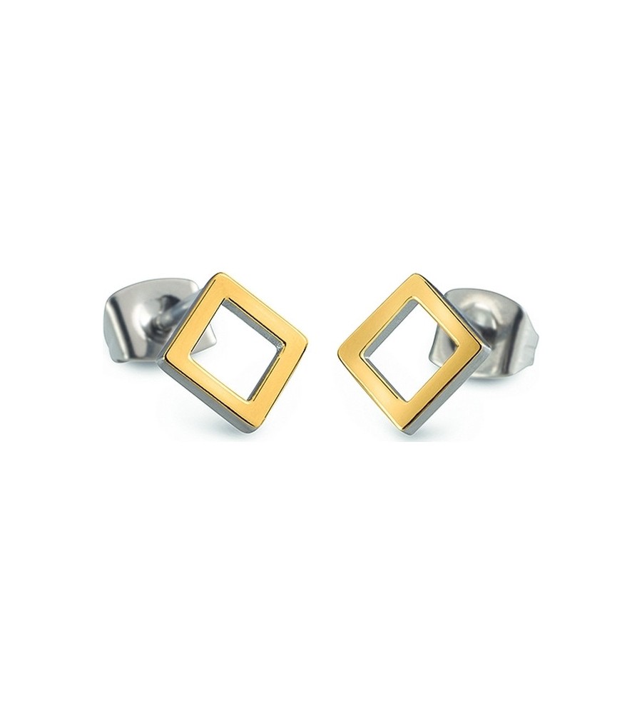 Boccia titanium oorknoppen