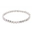 Boccia titanium armband 03057-01