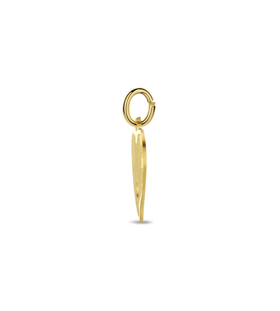 Gouden graveerplaatje hartje