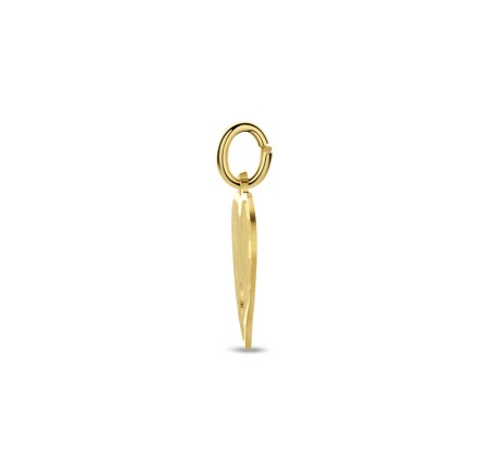 Gouden graveerplaatje hartje 40.06176