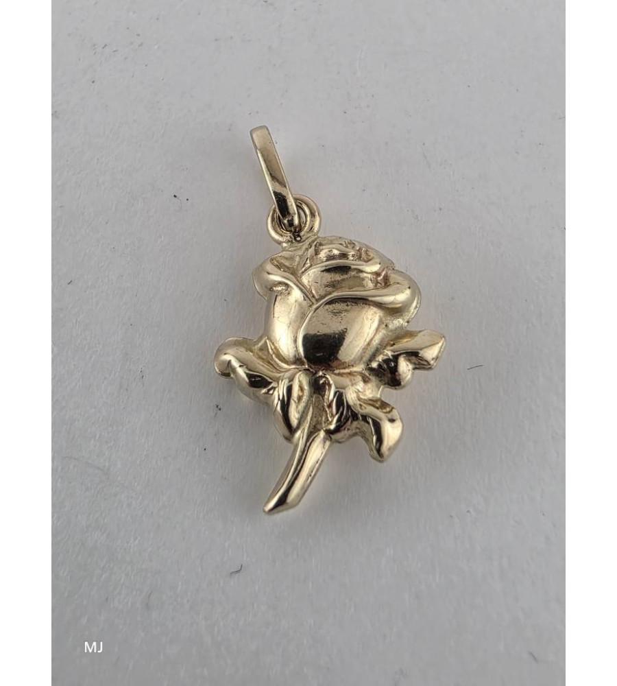 Gouden hanger roosje