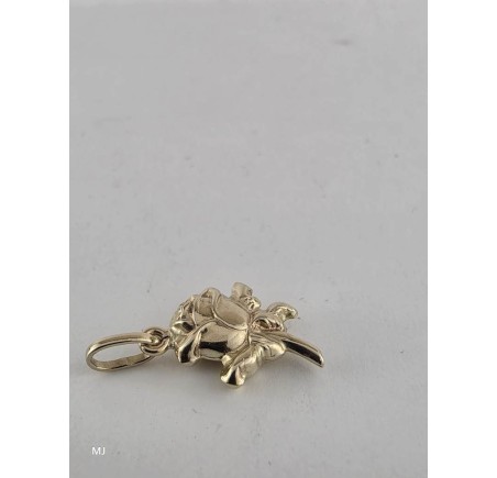 Gouden hanger roosje