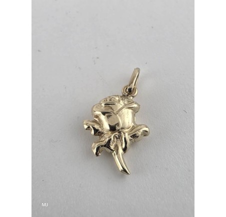 Gouden hanger roosje