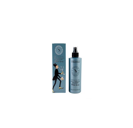 Town Talk zilver poets spray TOSPR