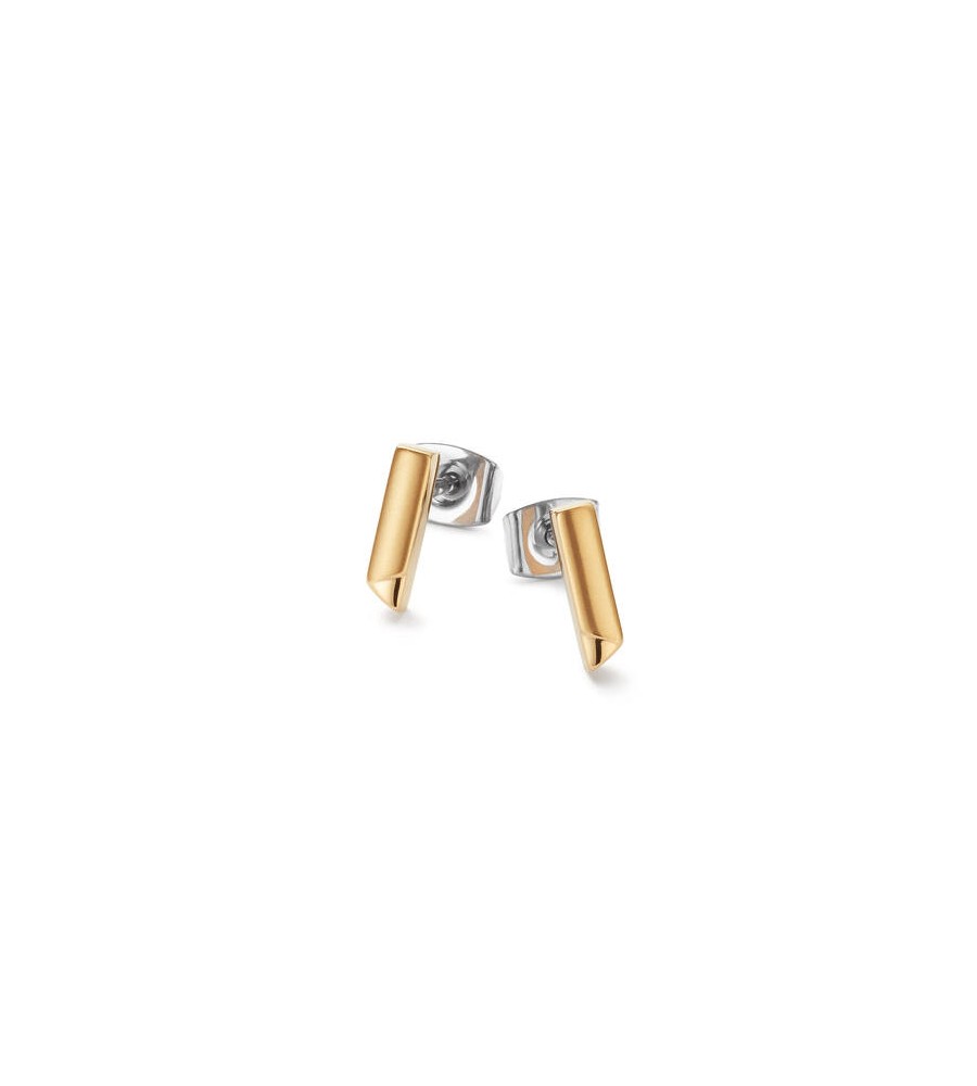 Boccia titanium oorknoppen