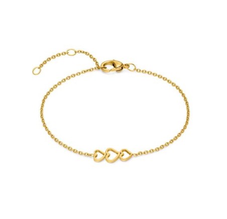 Boccia titanium armband 03077-02