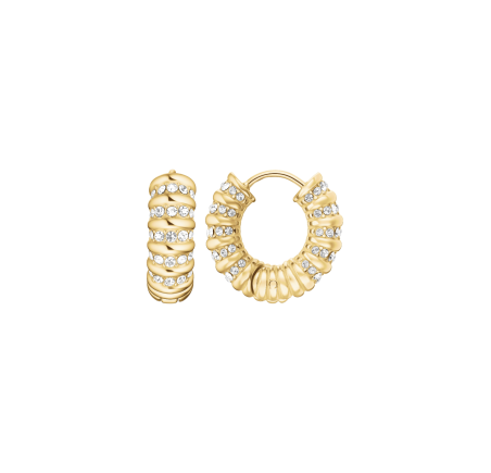 Rosefield staal vergulde creolen Striped Hoops  JESCG-J1280