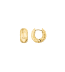 Rosefield staal vergulde creolen Crystal Star Texture Hoops  JEDHG-J1352