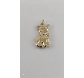 Gouden hanger poes