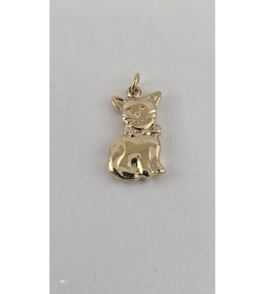 Gouden hanger poes