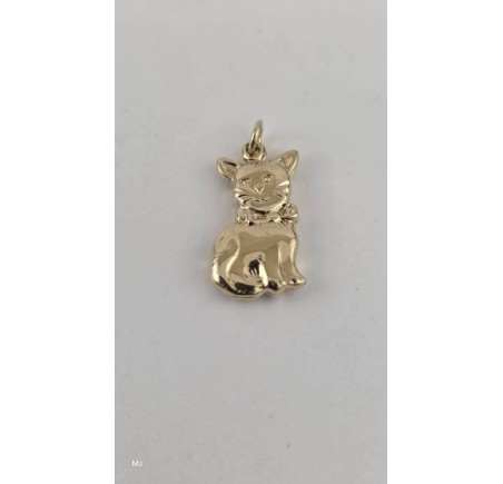 Gouden hanger poes