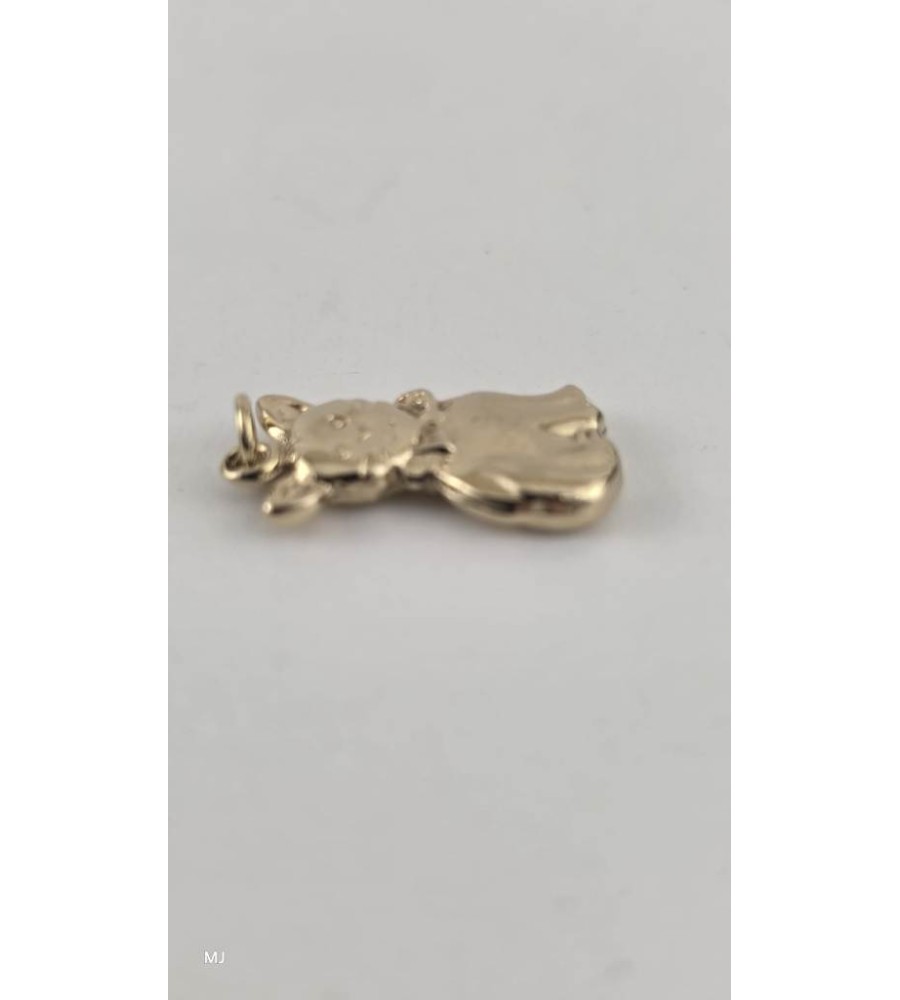 Gouden hanger poes