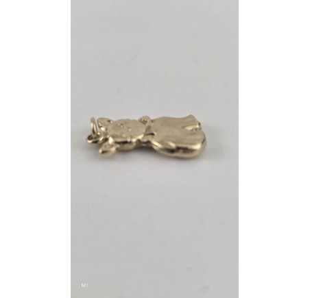 Gouden hanger poes