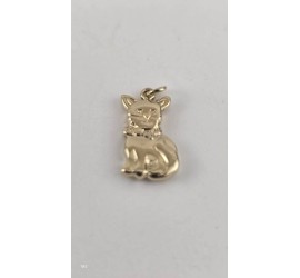 Gouden hanger poes