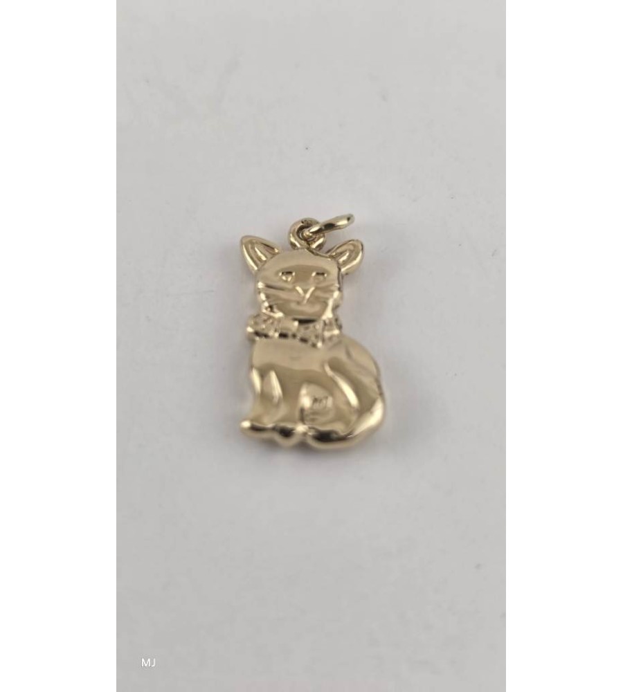 Gouden hanger poes