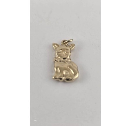 Gouden hanger poes