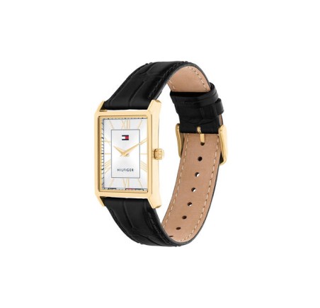 Tommy Hilfiger herenhorloge Model: Ben, TH1710772