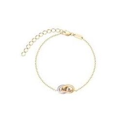 Rosefield staal vergulde armband JBTRT-J1378