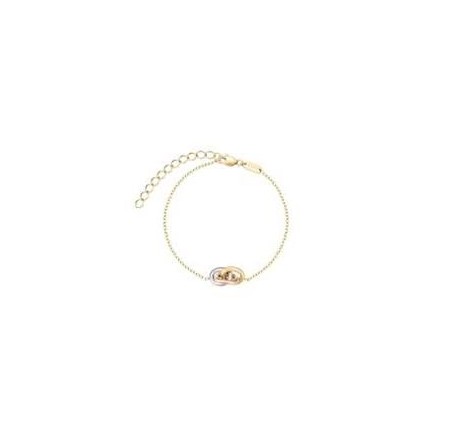 Rosefield staal vergulde armband JBTRT-J1378