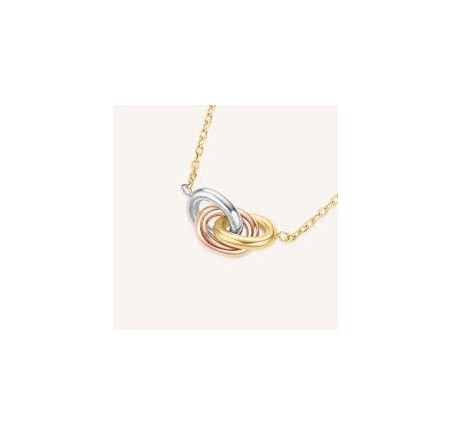 Rosefield staal verguld choker JNTRT-J1379