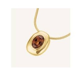 Rosefield staal verguld choker JNMBG-J1374