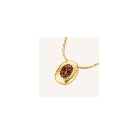 Rosefield staal verguld choker JNMBG-J1374