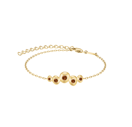 Rosefield staal vergulde armband JBMPG-J1375
