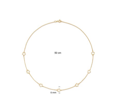 Zilveren collier verguld 102.8050.50