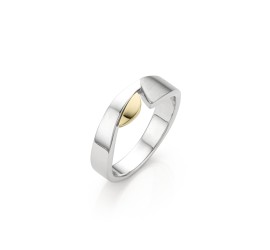 Zilveren ring  met goud