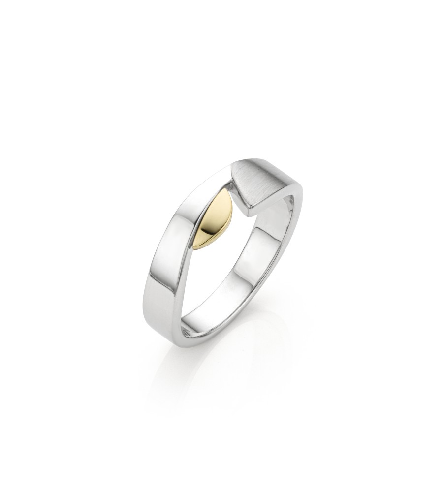 Zilveren ring met goud
