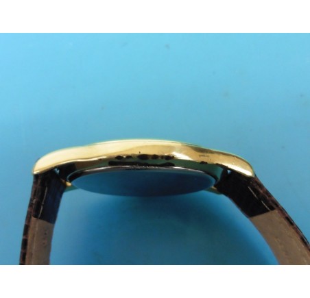 BWC-Swiss herenhorloge